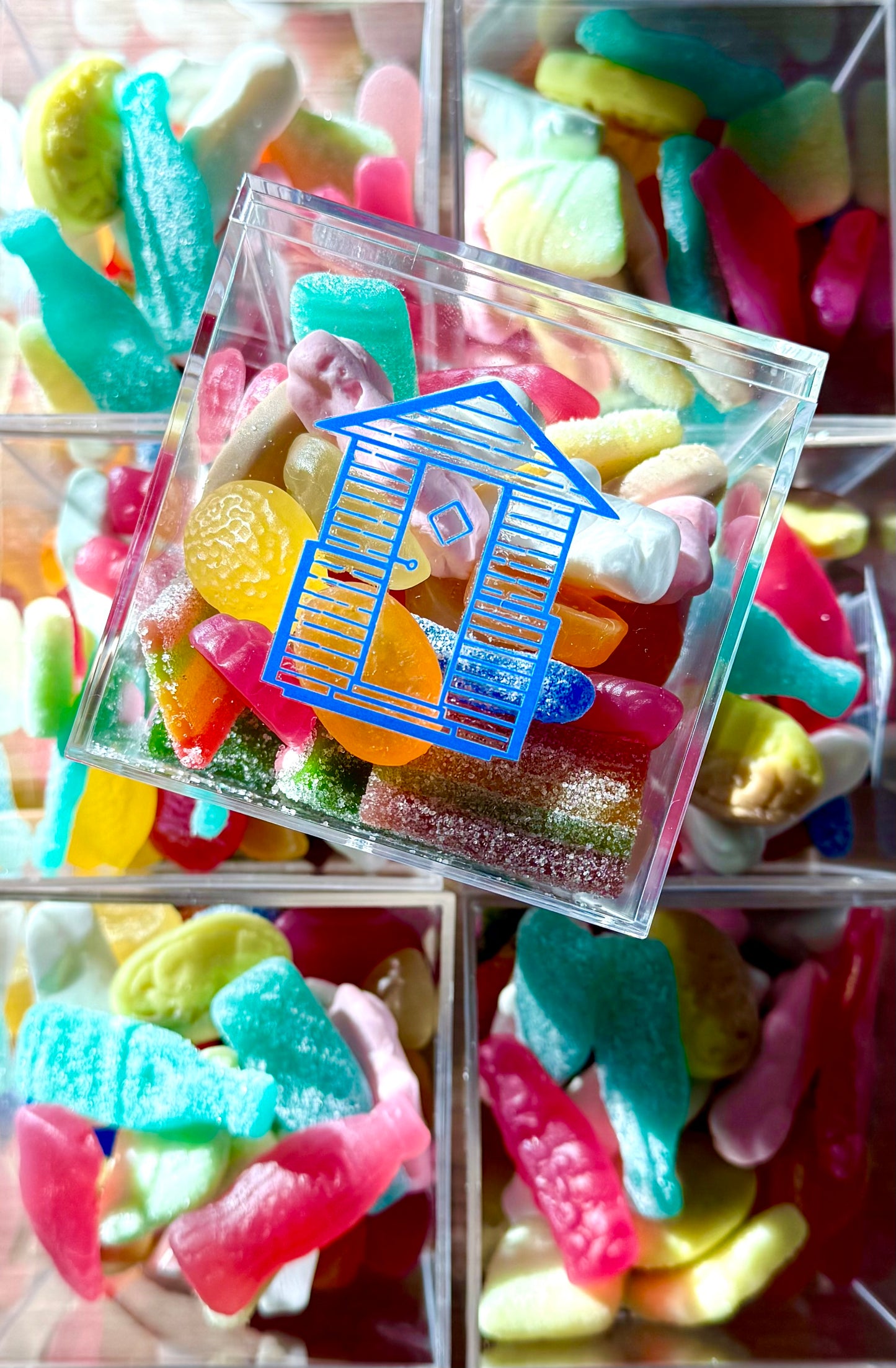 Frankie’s Christmas Gift Box